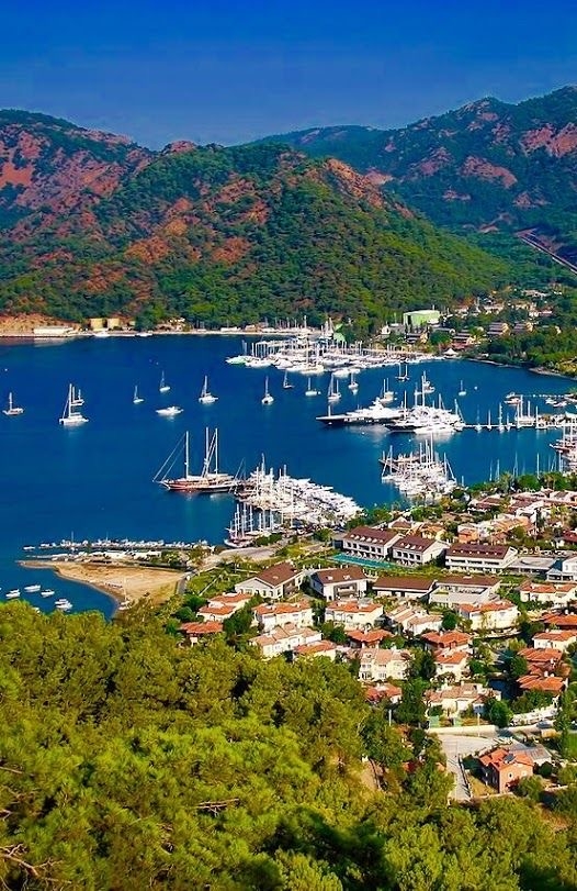 Gocek 